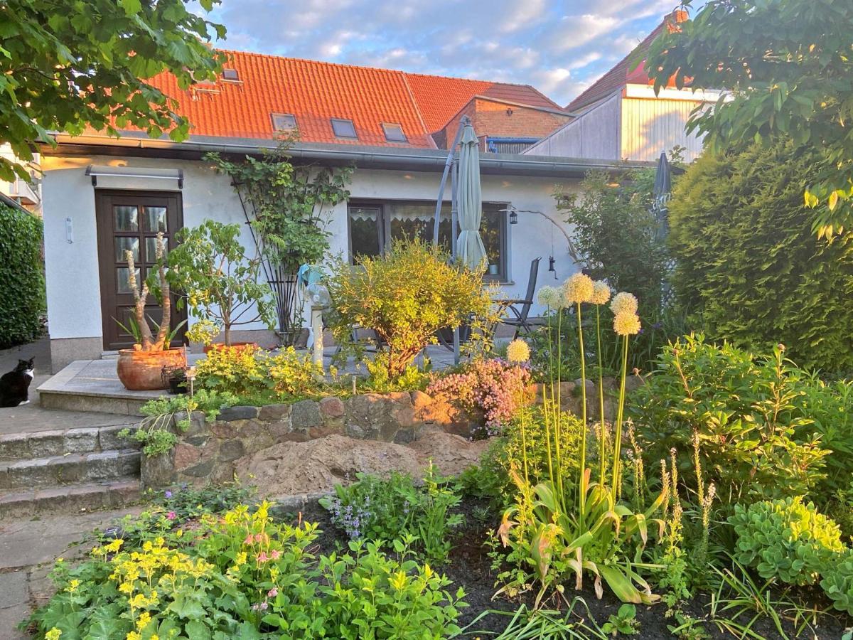 Ferienhaus Malchow See 7751 Eksteriør bilde